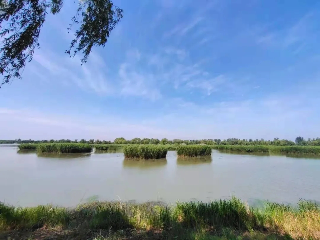 1625643587137792.jpg 222.webp.jpg